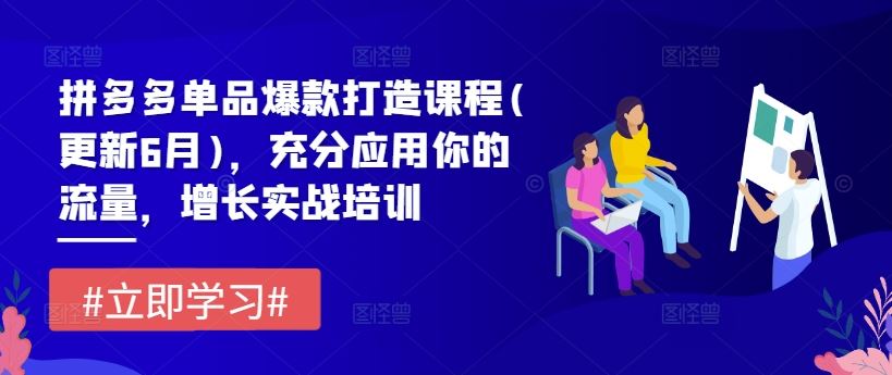 拼多多单品爆款打造课程(更新6月)，充分应用你的流量，增长实战培训-婷婷聊项目