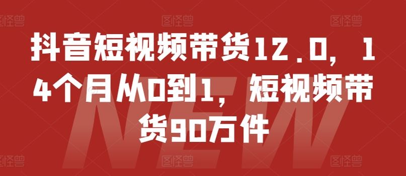 抖音短视频带货12.0，14个月从0到1，短视频带货90万件-婷婷聊项目