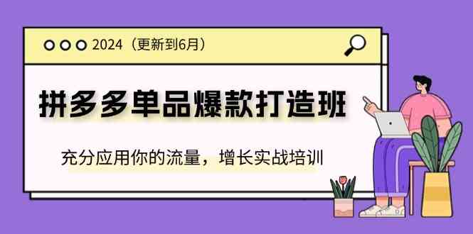 2024拼多多单品爆款打造班，充分应用你的流量，增长实战培训(更新6月)-婷婷聊项目