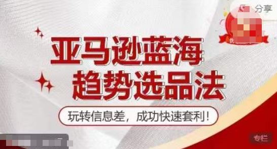 【训练营】亚马逊蓝海趋势选品法，玩转信息差，成功快速套利-婷婷聊项目