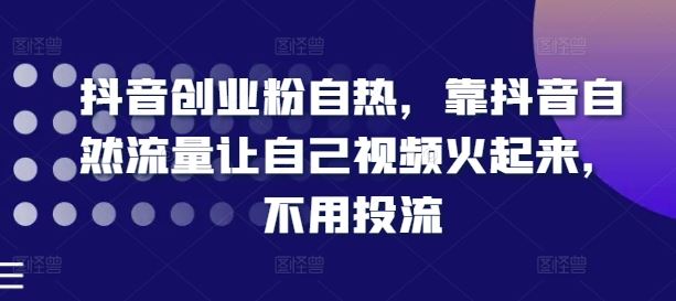 抖音创业粉自热，靠抖音自然流量让自己视频火起来，不用投流-婷婷聊项目