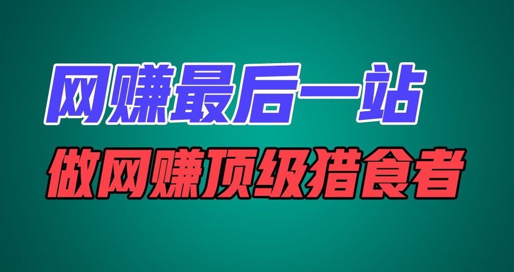 网赚最后一站，卖项目，做网赚顶级猎食者-婷婷聊项目