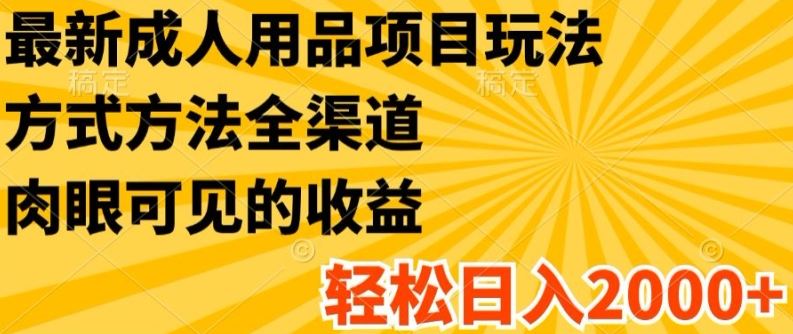 最新成人用品项目玩法，方式方法全渠道，轻松日入2K+【揭秘】-婷婷聊项目
