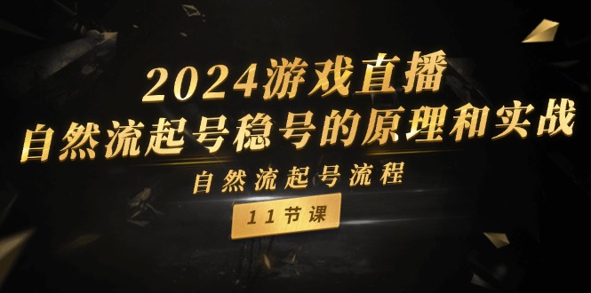 （11653期）2024游戏直播-自然流起号稳号的原理和实战，自然流起号流程（11节）-婷婷聊项目