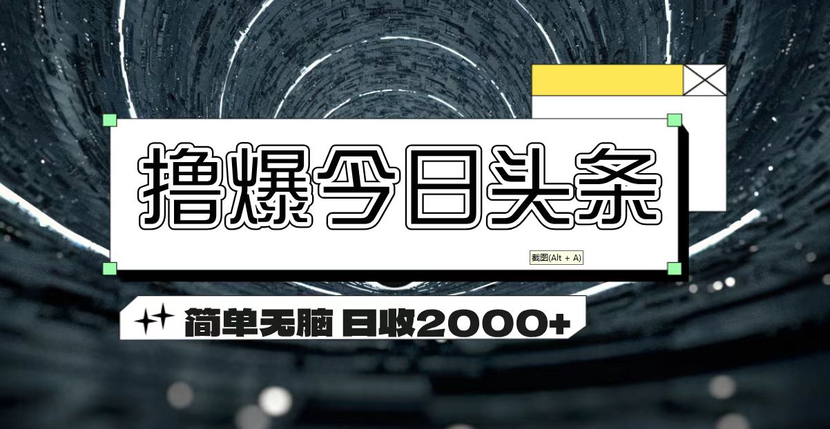 （11665期）撸爆今日头条 简单无脑操作 日收2000+-婷婷聊项目