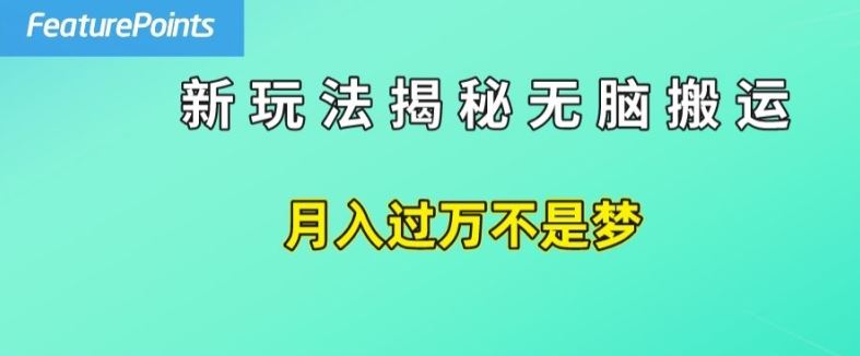 简单操作，每天50美元收入，搬运就是赚钱的秘诀【揭秘】-婷婷聊项目