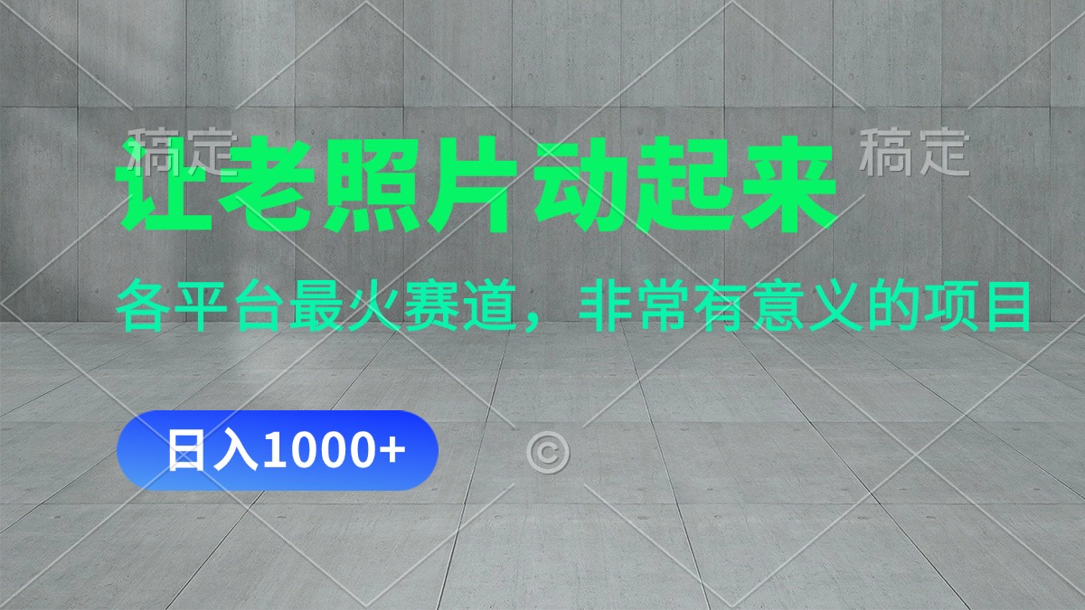 （11671期）让老照片动起来，一天变现1000+，各平台最火赛道，看完就会-婷婷聊项目