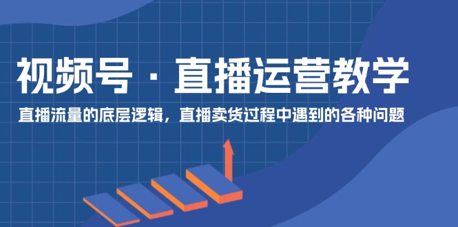 （11687期）视频号 直播运营教学：直播流量的底层逻辑，直播卖货过程中遇到的各种问题-婷婷聊项目