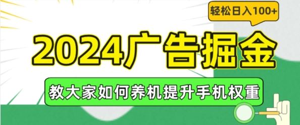 2024广告掘金，教大家如何养机提升手机权重，轻松日入100+【揭秘】-婷婷聊项目