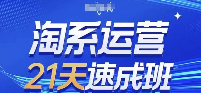 淘系运营21天速成班(更新24年7月)，0基础轻松搞定淘系运营，不做假把式-婷婷聊项目