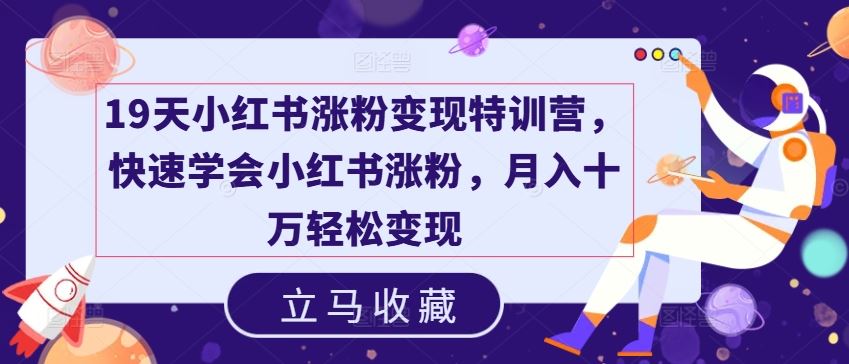 19天小红书涨粉变现特训营，快速学会小红书涨粉，月入十万轻松变现-婷婷聊项目