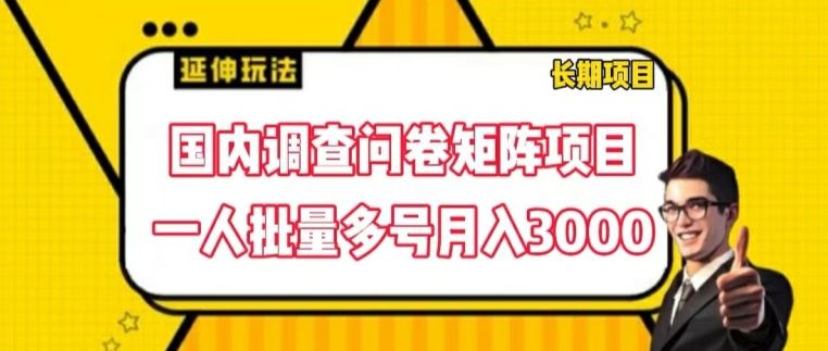 国内调查问卷矩阵项目，一人批量多号月入3000【揭秘】-婷婷聊项目