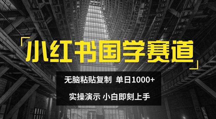 小红书国学赛道，无脑粘贴复制，单日1K，实操演示，小白即刻上手【揭秘】-婷婷聊项目