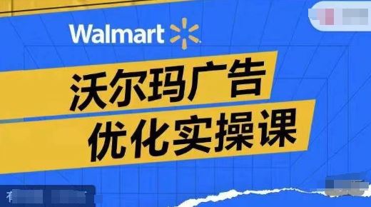 沃尔玛广告优化实操课，广告报告实操讲解，广告如何提高转化和ROAS等-婷婷聊项目