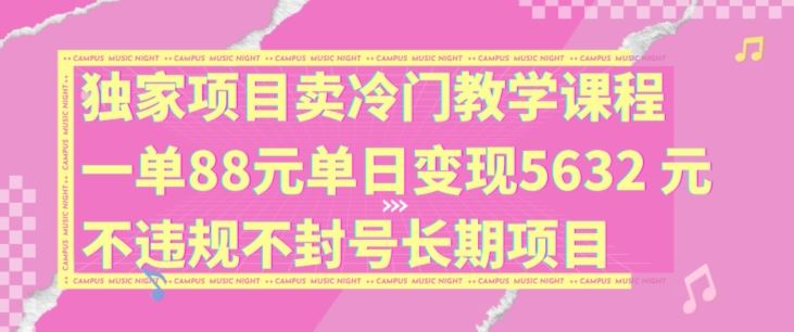 独家项目卖冷门教学课程一单88元单日变现5632元违规不封号长期项目【揭秘】-婷婷聊项目