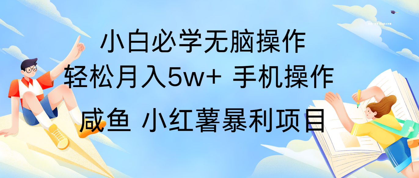 全网首发2024最暴利手机操作项目，简单无脑操作，每单利润最少500+-婷婷聊项目