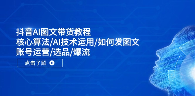 抖音AI图文带货教程：核心算法/AI技术运用/如何发图文/账号运营/选品/爆流-婷婷聊项目