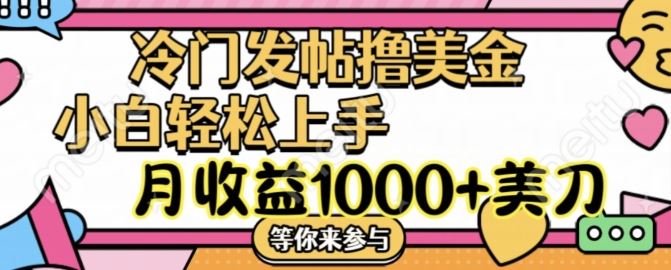 冷门发帖撸美金项目，月收益1000+美金，简单无脑，干就完了【揭秘】-婷婷聊项目