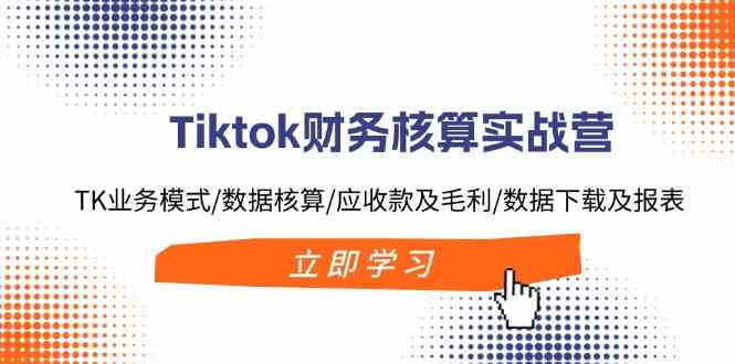 Tiktok财务核算实战营：TK业务模式/数据核算/应收款及毛利/数据下载及报表-婷婷聊项目