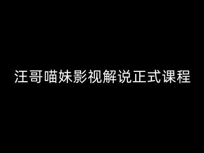 汪哥影视解说正式课程：剪映/PR教学/视解说剪辑5大黄金法则/全流程剪辑7把利器等等-婷婷聊项目