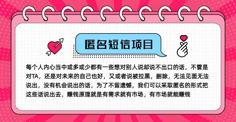 冷门小众赚钱项目，匿名短信，玩转信息差，月入五位数【揭秘】-婷婷聊项目