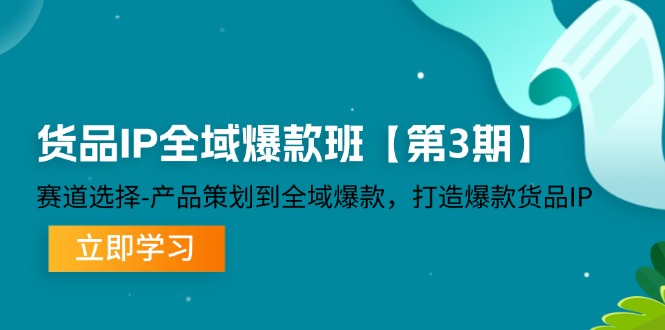 货品IP全域爆款班【第3期】赛道选择、产品策划到全域爆款，打造爆款货品IP-婷婷聊项目