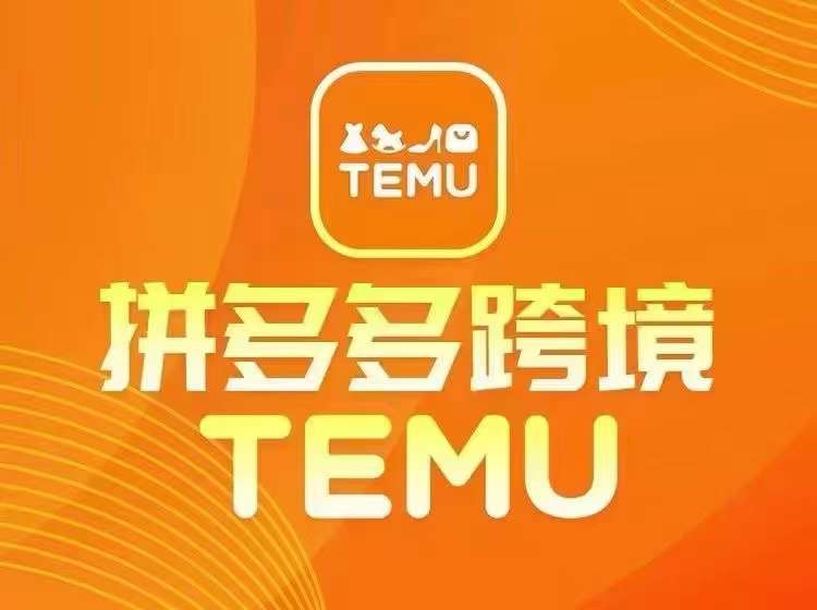 最新TEMU拼多多跨境教程，开店、运营、选品-婷婷聊项目