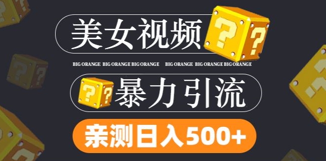 搬运tk美女视频全网分发，日引s粉300+，轻松变现，不限流量不封号-婷婷聊项目