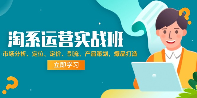 （12186期）淘系运营实战班：市场分析、定位、定价、引流、产品策划，爆品打造-婷婷聊项目