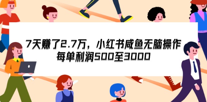 （12192期）7天收了2.7万，小红书咸鱼无脑操作，每单利润500至3000-婷婷聊项目
