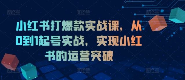 小红书打爆款实战课，从0到1起号实战，实现小红书的运营突破-婷婷聊项目