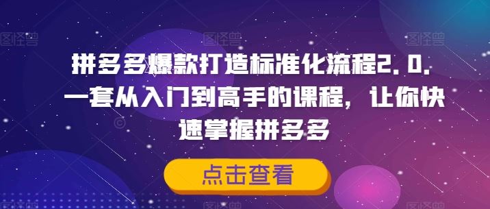 拼多多爆款打造标准化流程2.0，一套从入门到高手的课程，让你快速掌握拼多多-婷婷聊项目