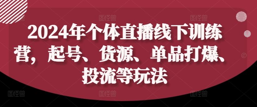 2024年个体直播训练营，起号、货源、单品打爆、投流等玩法-婷婷聊项目