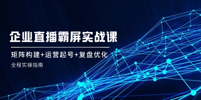 企业直播霸屏实战课：矩阵构建+运营起号+复盘优化，全程实操指南-婷婷聊项目