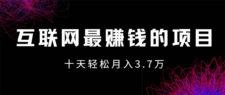 （12396期）互联网最赚钱的项目没有之一，轻松月入7万+，团队最新项目-婷婷聊项目