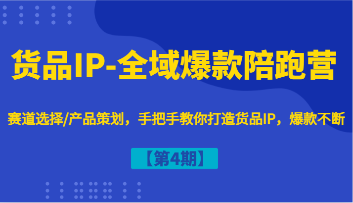 货品IP-全域爆款陪跑营【第4期】赛道选择/产品策划，手把手教你打造货品IP，爆款不断-婷婷聊项目