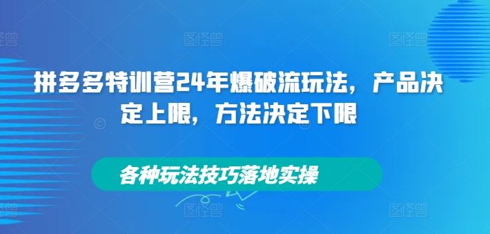 拼多多特训营24年爆破流玩法，产品决定上限，方法决定下限，各种玩法技巧落地实操-婷婷聊项目
