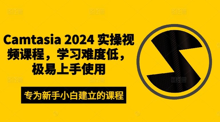 Camtasia 2024 实操视频课程，学习难度低，极易上手使用-婷婷聊项目