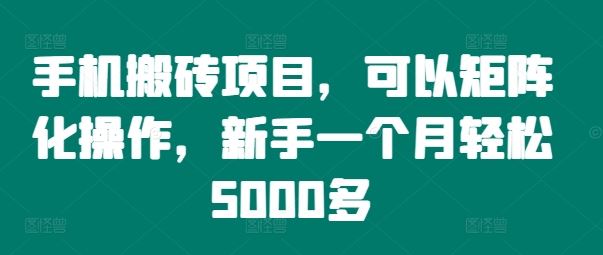手机搬砖项目，可以矩阵化操作，新手一个月轻松5000多-婷婷聊项目