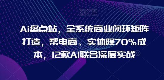 Ai终点站，全系统商业闭环矩阵打造，帮电商、实体降70%成本，12款Ai联合深度实战【0906更新】-婷婷聊项目