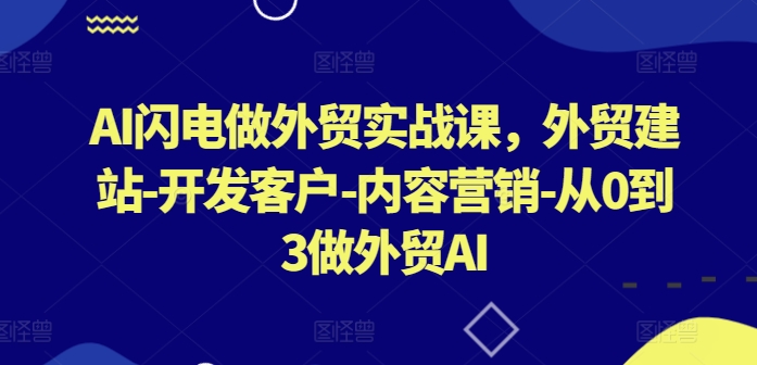 AI闪电做外贸实战课，​外贸建站-开发客户-内容营销-从0到3做外贸AI(更新)-婷婷聊项目