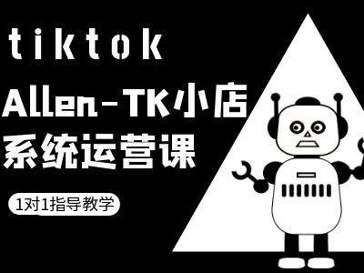 TK小店系统运营课-tiktok跨境电商教程-婷婷聊项目