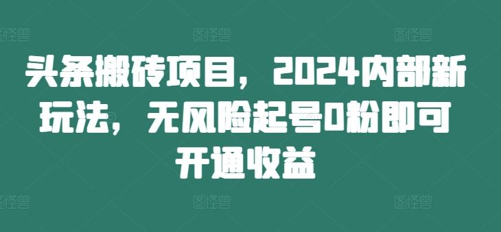 头条搬砖项目，2024内部新玩法，无风险起号0粉即可开通收益-婷婷聊项目