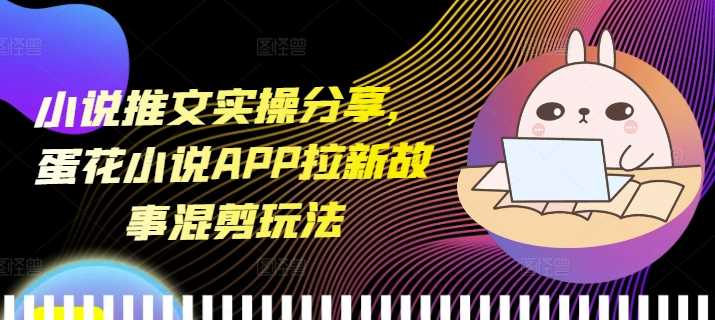 小说推文实操分享，蛋花小说APP拉新故事混剪玩法-婷婷聊项目