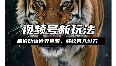利用动物世界解说视频，赚分成计划收益，轻松月入过W，操作简单【揭秘】-婷婷聊项目